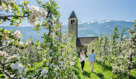 53 besten Wellnesshotels Südtirol ab 86