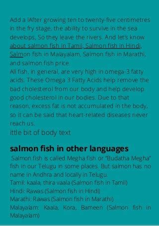 Salmon Fish Pdf