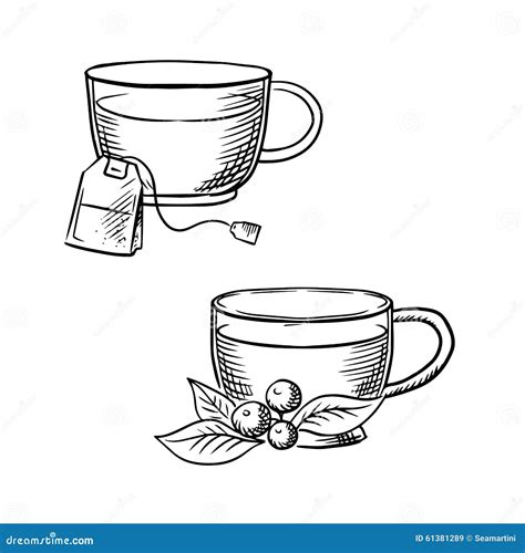 Tasse De Thé Avec Des Croquis De Sac à Thé Et D Airelle Rouge Illustration De Vecteur Image