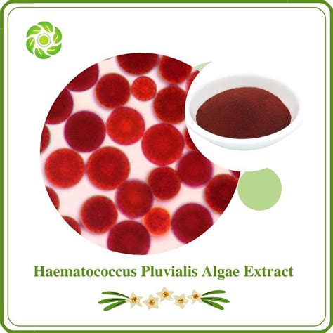 World Well Being Natural Astaxanthin Haematococcus Pluvialis Algae