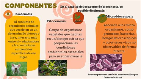 Biocenosis Y Sus Caracteristicas Mas Importantes Ppt Descarga Gratuita