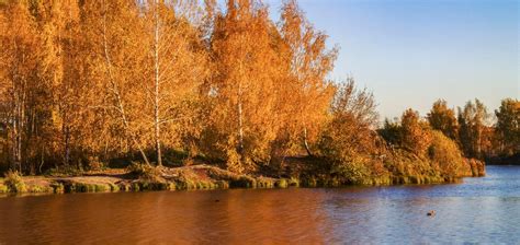 Where to See Stunning Fall Foliage in Southern California