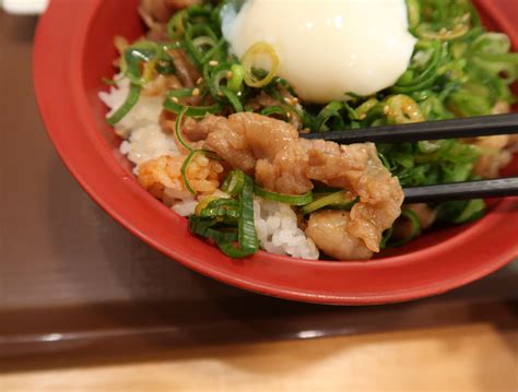 上越に暮らすtakeさんの忘我混沌な日常 すき家で「ねぎ玉牛カルビ焼肉丼：おんたま変更」食べてきました、温玉まろやか大いに旨し！