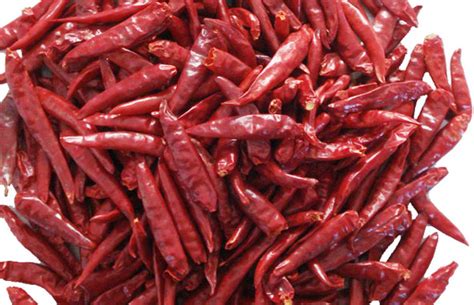Wonder Hot Red Chilli At Best Price In Chennai ID INCON EXIM
