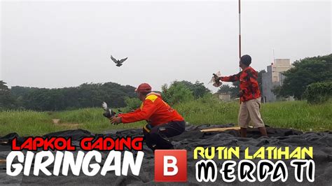 Merpati Kolong Bebas Lop Tipis Tipis Di Giringan Team Kenwood Team