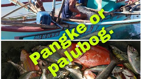 Makalumang Pamamaraan Ng Pangingisda Burias Island Masbate Fishing