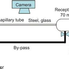 Schematic diagram of the ‘capillary setup’. | Download Scientific Diagram