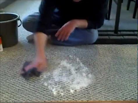 How To Clean Pet Vomit From Carpet Remove Stains Vinegar You