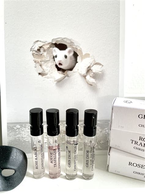 Christian Dior perfume samples, Rose Kabuki, Trafalgar Rouge, Gris Dior, Beauty & Personal Care ...