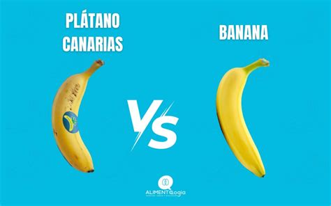 Estas Son Las Diferencias Entre Pl Tano Canarias Vs Banana Alimentologia