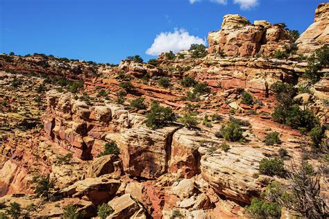 Rocky Climb In Capital Reef Photograph By Terri Morris Fine Art America