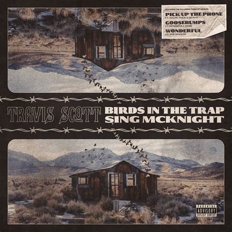 I Designed A Birds In The Trap Sing Mcknight Alternate Cover Travisscott