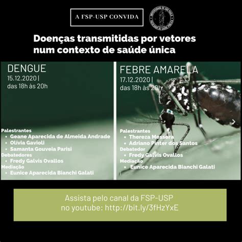 Doenças Transmitidas Por Vetores Num Contexto De Saúde Única Dengue E