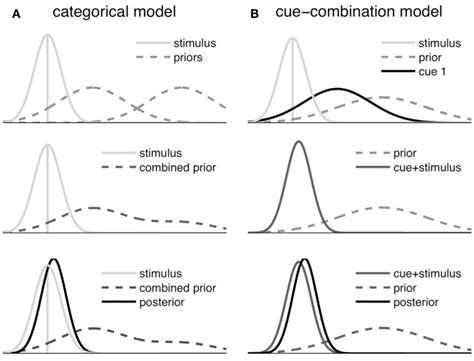 Schematic Illustration Of The Bayesian Fusion In The Symbolic Cue