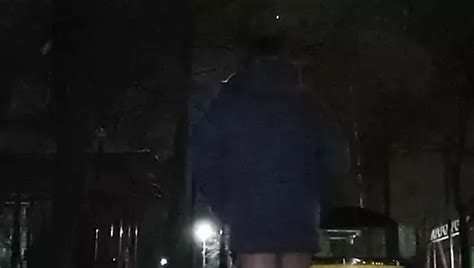 Free Shemale Park Porn Videos 3 XHamster