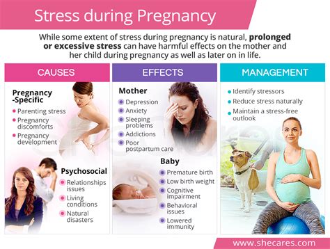 Stress During Pregnancy Shecares