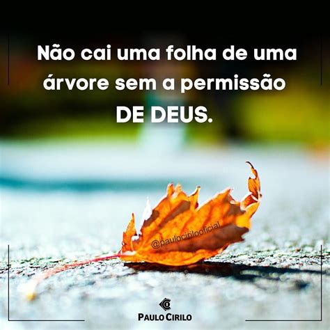 Não Cai Uma Folha Sem A Permissão De Deus - Isaías 40 Não Cai Uma Folha - RETOEDU