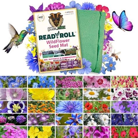 Garden Roll Out Pre Seeded Flower Mats Add Beautiful