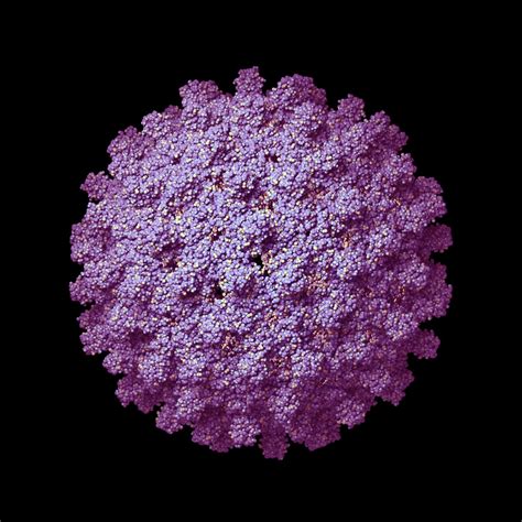 Hepatitis B Progression - Hep