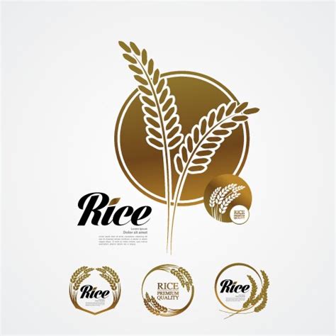 Premium Rice Great Quality Royalty Free Vector Image