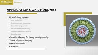 Liposome based drug delivery system-boc sciences | PPT