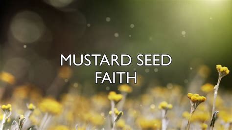 Guest Speaker Marilyn Neubauer Mustard Seed Faith Youtube