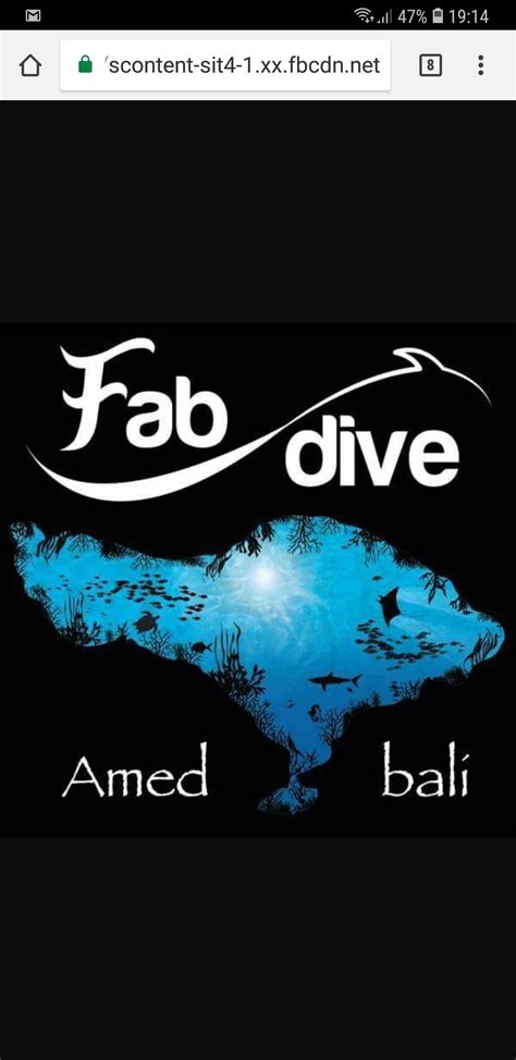 Bali Fab Dive Center GetYourGuide Anbieter