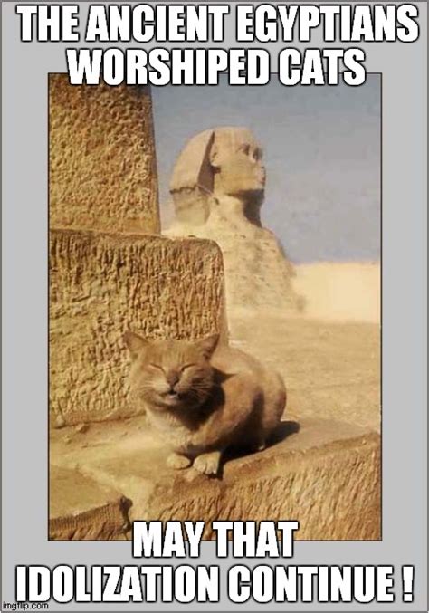 Cat Worship - Imgflip
