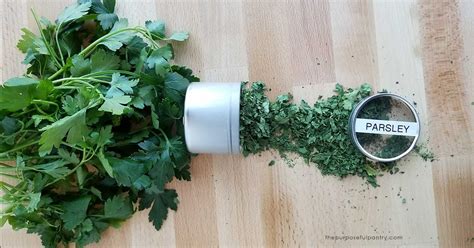 How To Dehydrate Parsley The Purposeful Pantry