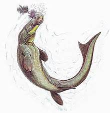 Prognathodon - Wikipedia