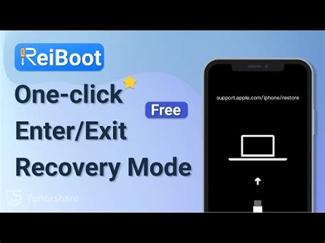 How To Put IPhone In Recovery Mode With Tenorshare ReiBoot YouTube