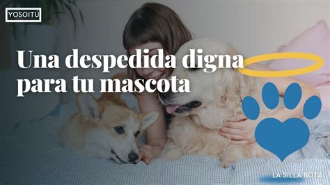 Cómo darle una despedida digna a tu mascota Conoce Pets In The Sky