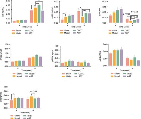 Elisa Analysis Demonstrated The Expression Levels Of Akt P Akt Erk Download Scientific