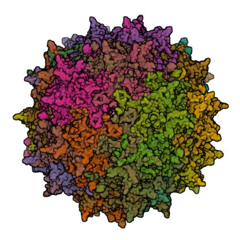 RCSB PDB 6U3Q The Atomic Structure Of A Human Adeno Associated Virus