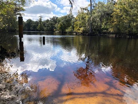 15 Scenic Trails For Hiking in Florida - Florida Trippers