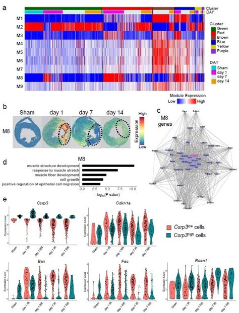 Figure From Spatiotemporal Single Cell Analysis Reveals Critical