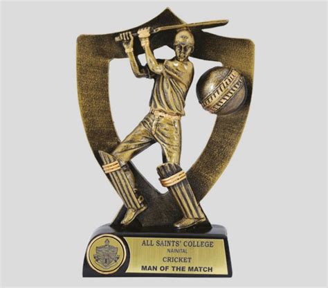 Golden Brass Man Of The Match Cricket Trophy at ₹ 120/piece in New ...