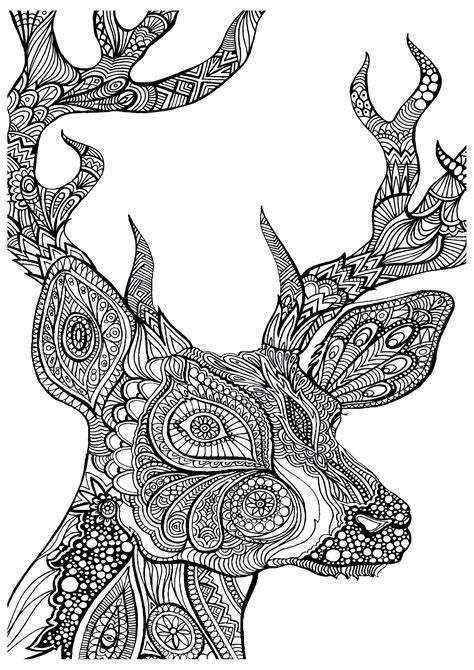 19 of the Best Adult Colouring Pages {Free Printables for everyone