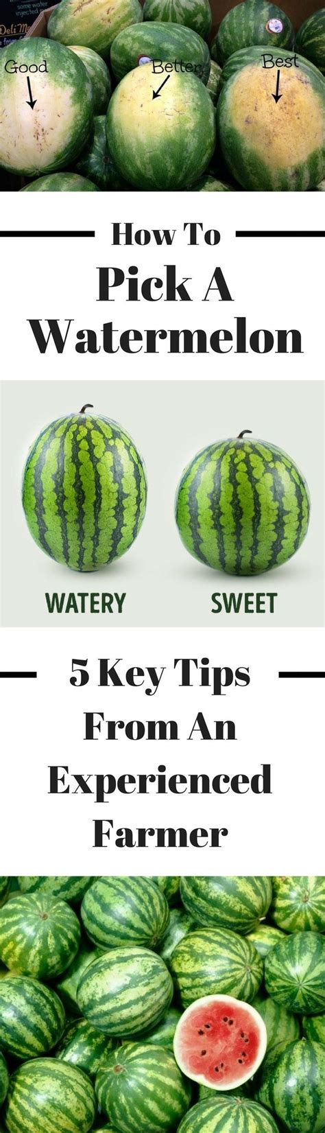 How To Pick The Perfect Watermelon Key Tips From An Experienced