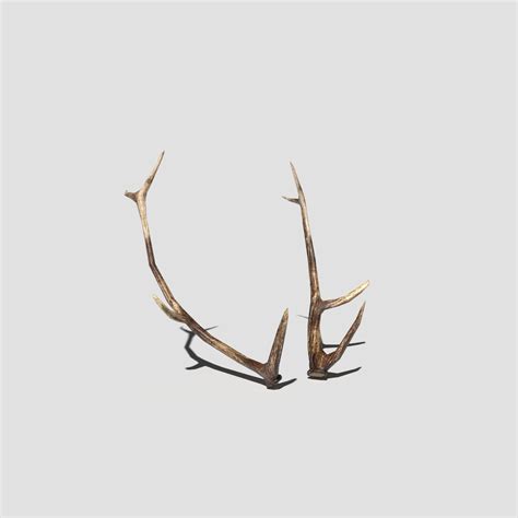Antlers Free 3D Models download - Free3D
