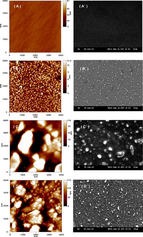 Tapping Mode Afm Images Of A Bare Gce B Aunps Gce C Pedot Gce