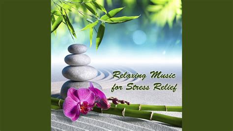 Stress Relief - YouTube Music