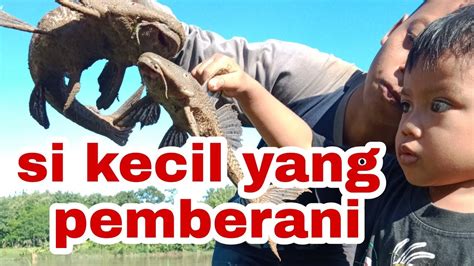 Waoobaru Dapat Ikan Langsung Di Hajar Si Bocil Sampai Mabok Ikanya