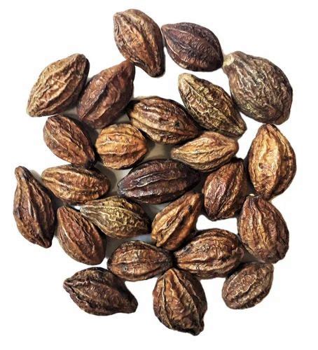 Terminalia Chebula Brown Organic Dried Harad Seeds Packaging Type