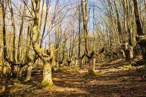 รูปภาพHayas – เลือกดูภาพถ่ายสต็อก เวกเตอร์ และวิดีโอ1,296 | Adobe Stock