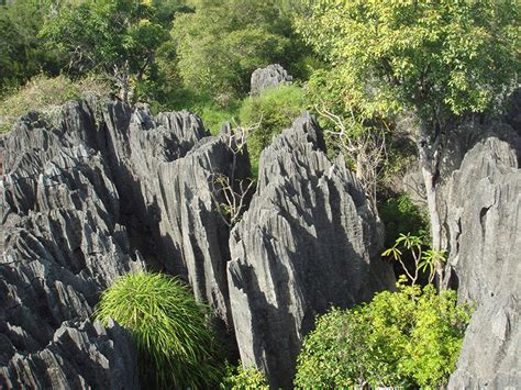 Cosa Sono Gli Tsingy Un Paradiso Chiamato Madagascar Viaggio