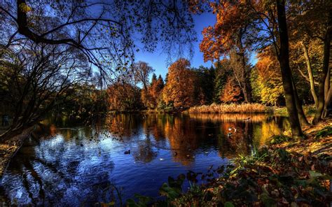 lake, Forest, Nature Wallpapers HD / Desktop and Mobile Backgrounds