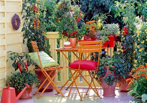 Fleurs Dautomne Balcon Id Es Pour Pots Et Jardini Res