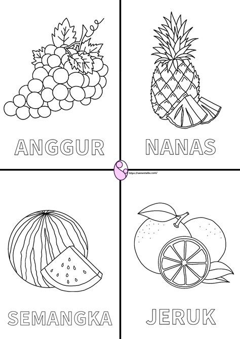 gambar buah buahan  diwarnai anak tk mewarnai gambar buah buahan