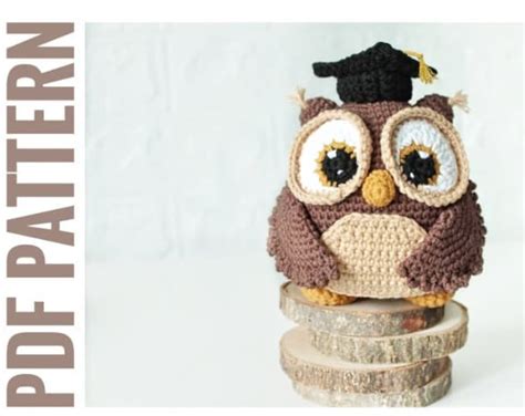 Graduation Owl Crochet Pattern Owl Amigurumi Crocheted Bird Etsy